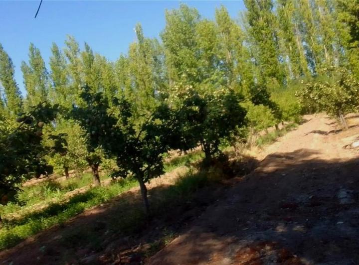 Casa en General Alvear