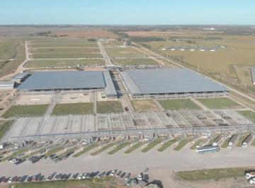 Terreno · 3200m² · Venta Lote Comercial en Mercado Agroganadero de Cañuelas
