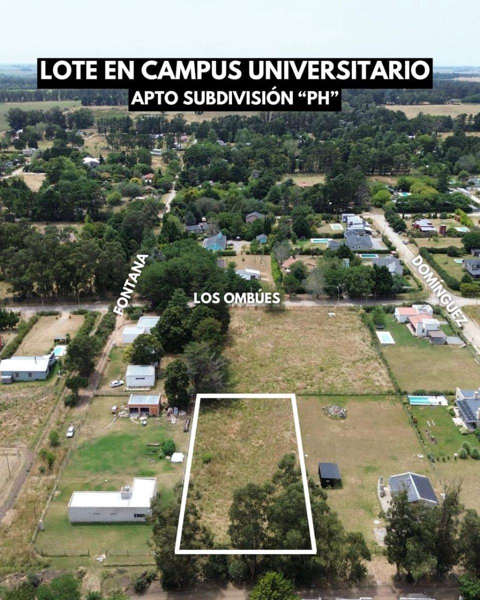 Lote apto subdivisión "campus universitario" Parcela de aproximadamente 32x65 metros