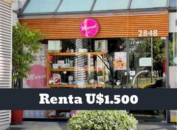 Local comercial · 205m² · 1 Ambiente · Venta Local en Barrio Norte con Renta