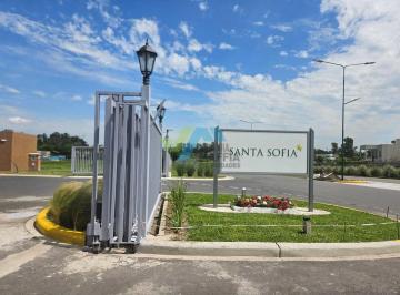 Terreno · 440m² · Terreno Lote en Venta en Santa Sofía, Pilar del Este, Pilar