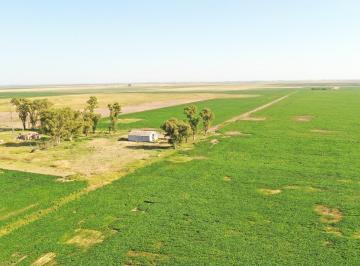 Campo · 2420000ha · Campo Agrícola 240has en Venta, Córdoba, Zona Cerca de Rufino