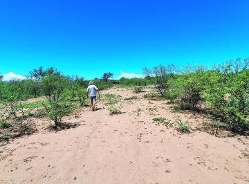 Terreno · 7ha · Villa de Soto Paraje Bella Vista Chacra de 8 Ha