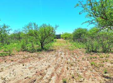 Terreno · 7ha · Villa de Soto Paraje Bella Vista Chacra de 8 Ha