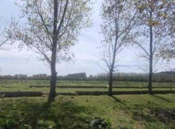 Campo · 50000m² · Campo en Venta - 50.000 m² - Dolores