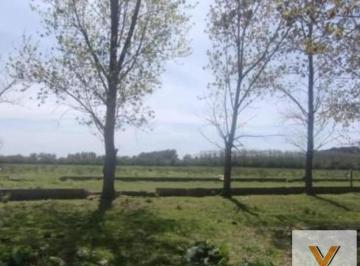 Campo · 50000m² · Campo en Venta - 50.000 m² - Dolores