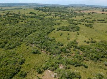 TBR-TBR-4289_2 · Venta Campo 30 Hectáreas Las Cañas Maldonado