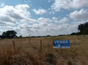 Terreno · Terreno en Saladillo