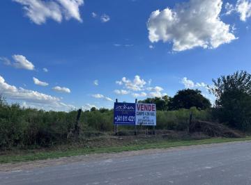 Campo · 49600m² · Venta Campo 5 Has en Ibarlucea
