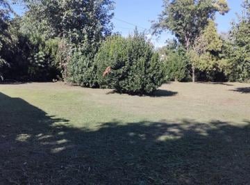 Terreno · 300m² · Terreno en Zelaya