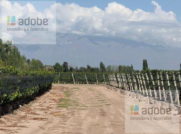 Campo · 198000ha · Finca de 20 Has en La Consulta a La Venta