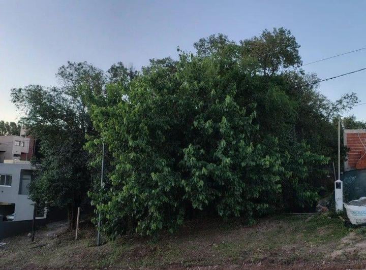 Terreno · 300m²