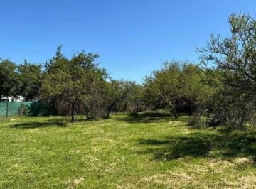 Terreno · 476m² · Villa Catalina - Terreno