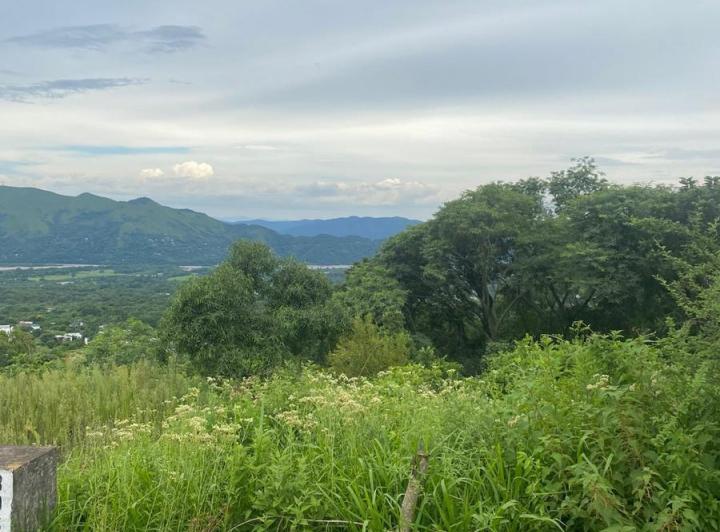 Terreno