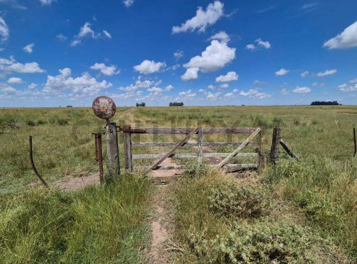 Campo · 90m²