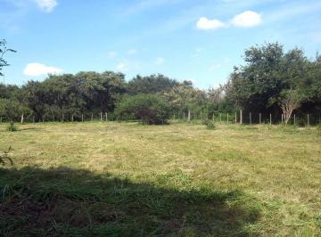Terreno · 1000m² · Terreno en Venta en Capilla de Los Remedios