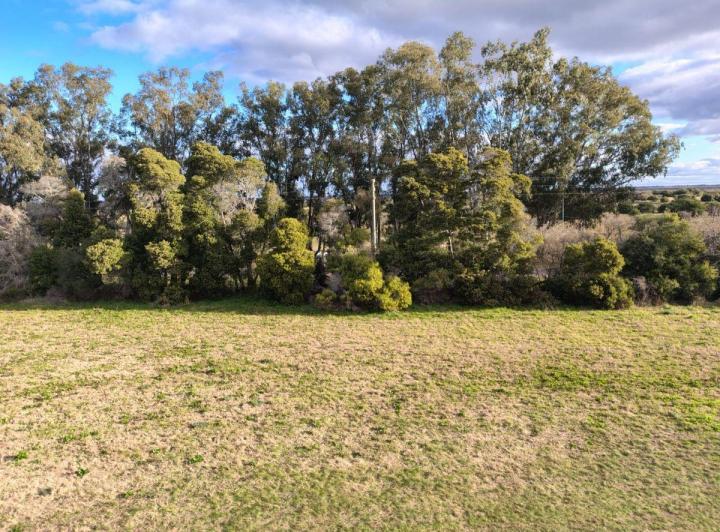 Terreno · 1144m²