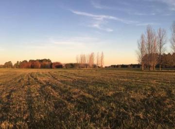 Terreno · 10121m² · Lote Barrio de Chacras La Macarena! - Capilla del Señor!