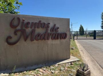 Terreno , Mayor Drummond · Vendo Lotes Callejón Privado