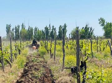 Campo , Lavalle · Se Vende Finca en Lavalle a 3 Km del Centro.
