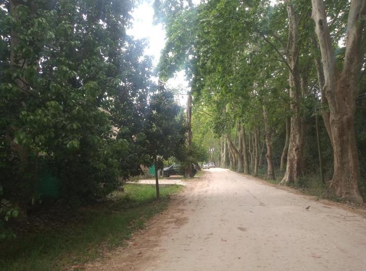 Terreno · 385m²
