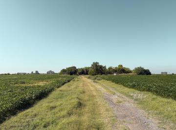Campo · 149000m² · Campo Agricola de 14.9 Ha en Soldini