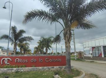 Terreno · 350m² · Se Vende Lote en Altos de La Colonia 350 m²