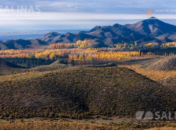 Campo · 2000000m² · Finca en Los Árboles