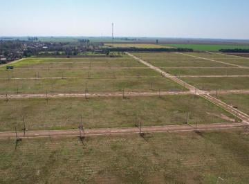 Terreno · 360ha · Loteo Punta Chacra San Jeronimo - Todos Los Servicios!