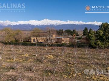 Campo · 50000m² · Finca con Viñedos y Mejoras en Los Arboles