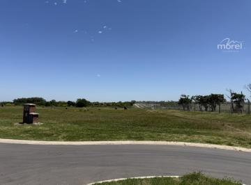Foto Principal · Lote en Venta San Sebastian - - 600 m