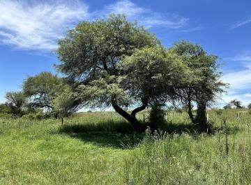 Terreno · 300m² · Lotes a La Venta en Anisacate Lomas de Anisacate