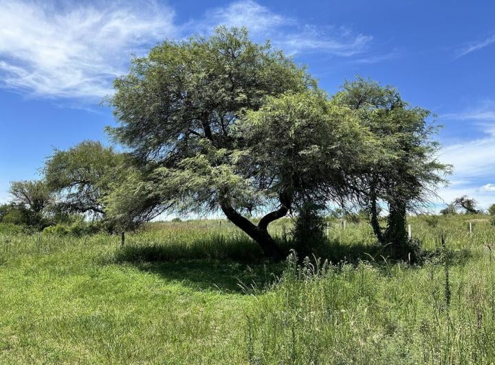 Terreno · 300m²