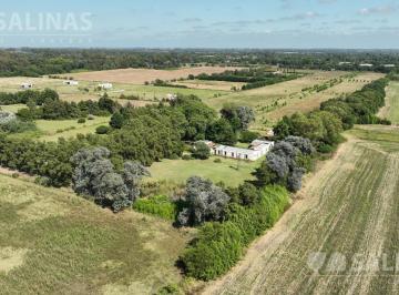 Campo · 25000m² · Hotel de Campo de San Antonio de Areco