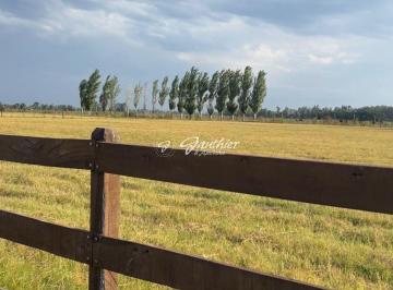 Terreno , Exaltación de la Cruz · Terreno / Lote en Venta de 10.000 m² Ubicado en Capilla del Señor