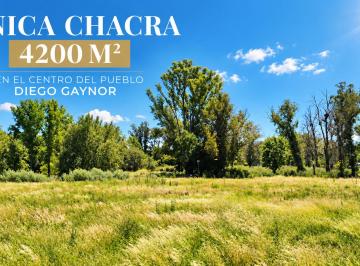 Terreno , Exaltación de la Cruz · Venta Terreno Tipo Chacra en El Corazón de Diego Gaynor - Oportunidad