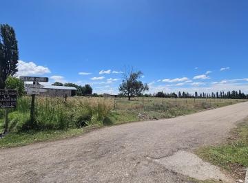 Terreno · 15000m² · Terreno de 1.5 Ha en Esquina en Las Paredes - San Rafael, Mendoza