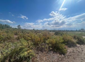 Terreno · 120000m² · Terreno en Los Corralitos