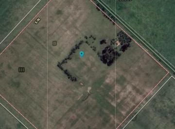 Campo · 240000m² · 4 Ambientes · Campo en Venta - 240.000 m² - Lobos
