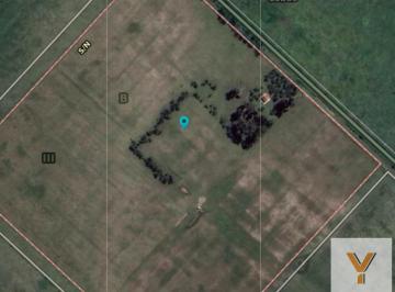Campo · 240000m² · 4 Ambientes · Campo en Venta - 240.000 m² - Lobos
