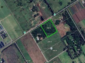 Campo · 20000m² · Campo - Pilar