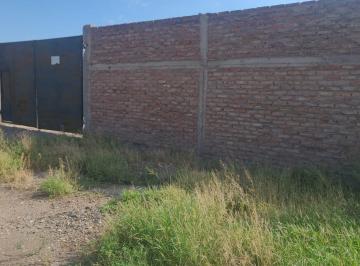 Terreno , Guaymallén · ¡Vende Terreno! 7 Hectáreas 3000 m², Rodeo de La Cruz.
