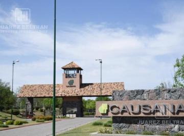 Terreno · 2137m² · Venta – Lote 2137 m² – Causana