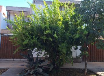 Departamento en Alquiler de 7 ambientes Sexta Sección · Alquilo Duplex Ciudad Mendoza