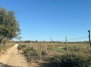 Campo , Los Blancos · Campo de 15.000 Ha en Venta en Los Blancos - Ruta 81