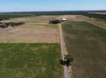 Campo , Maciá · 125 Has Campo 100% Agrícola - Tambo - Venta a Tranquera Cerrada
