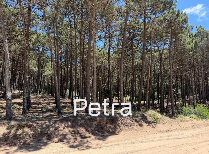Terreno · 933m²
