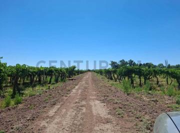 Local comercial · 18m² · Finca Productiva en Venta.