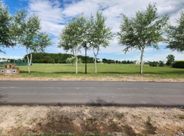 Terreno · 1000m² · Venta Lote Premium en Haras del Sur 3, Barrio Araucarias, Fondo a Green Golf, Cercano Al House