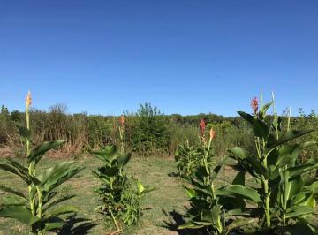 Campo · 81499m² · Campo en Venta - 81.499 m² - Campana